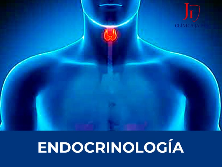especialistas en el sistema endocrino