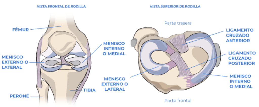 rotura-de-menisco-valencia