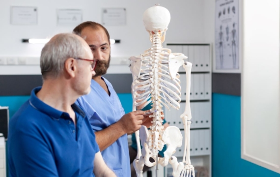 columna vertebral columna vertebral en valencia