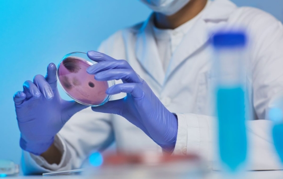 test-genético-en-valencia