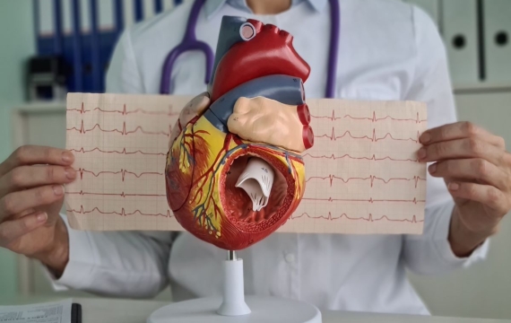 electrocardiograma-en-valencia