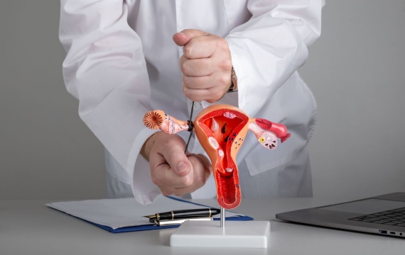 trompas-de-falopio-en-valencia trompas-de-falopio-en-valencia