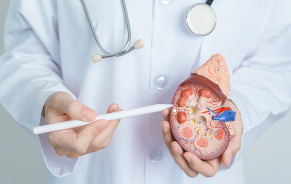 urólogo-en-valencia urólogo-en-valencia