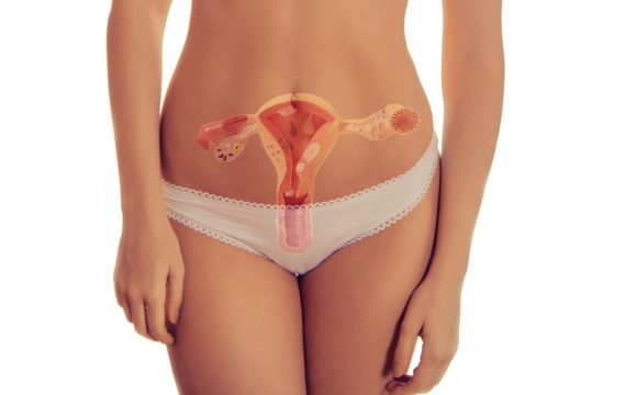 rejuvenecimiento-genital-en-valencia