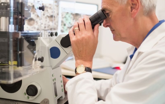 investigando-anatomía-celular