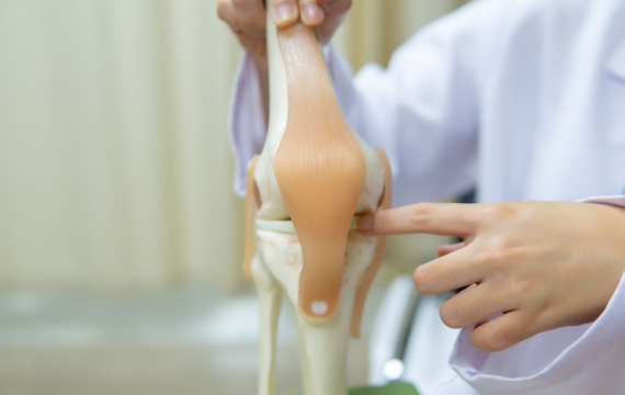 articulacion-de-rodilla-en-valencia