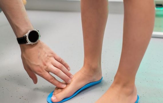 elección-de-plantillas-en-valencia