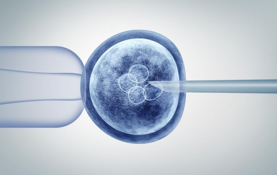 células-madre-en-medicina-regenerativa células-madre-en-medicina-regenerativa