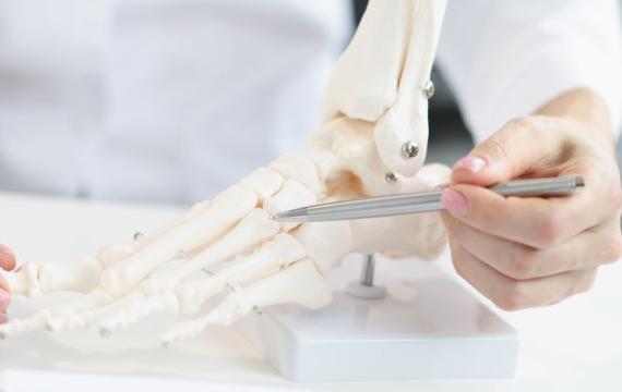 traumatología del pie traumatólogo del pie en valencia