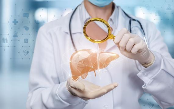 Nutrición en Valencia Endocrino en Valencia