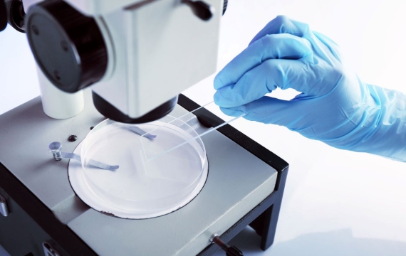 microscopio-en-valencia microscopio