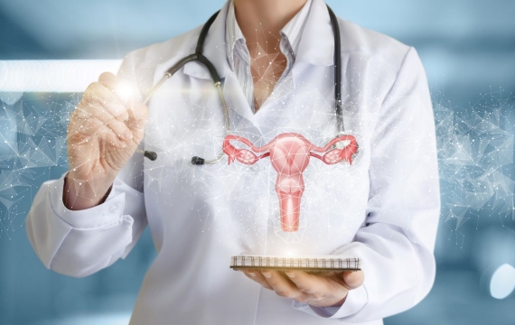 urología urología