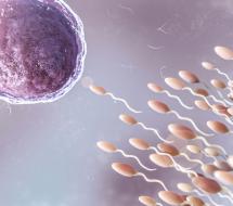 Andrología en Valencia