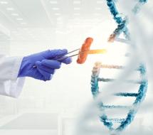 test genéticos en valencia