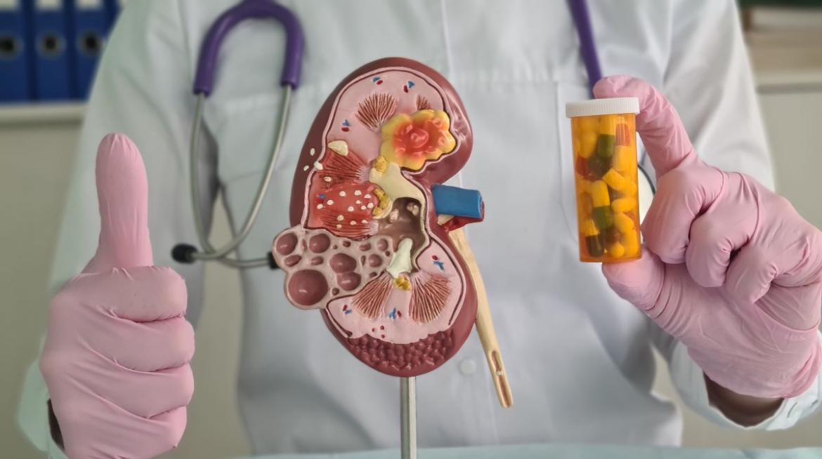 urólogo en valencia urólogo en valencia