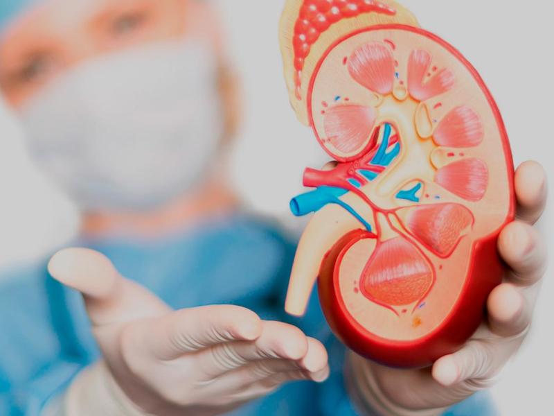 Urólogo en Valencia Urología en valencia