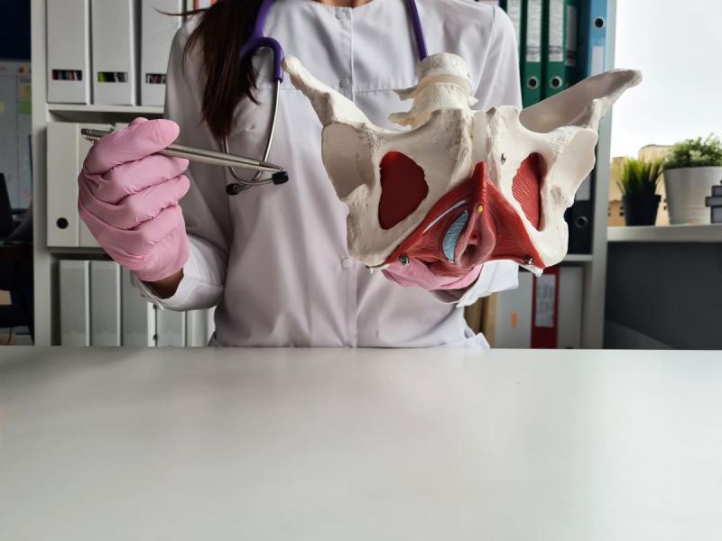 Cirugía de Cadera y Pelvis Cirugía de Cadera y Pelvis en Valencia